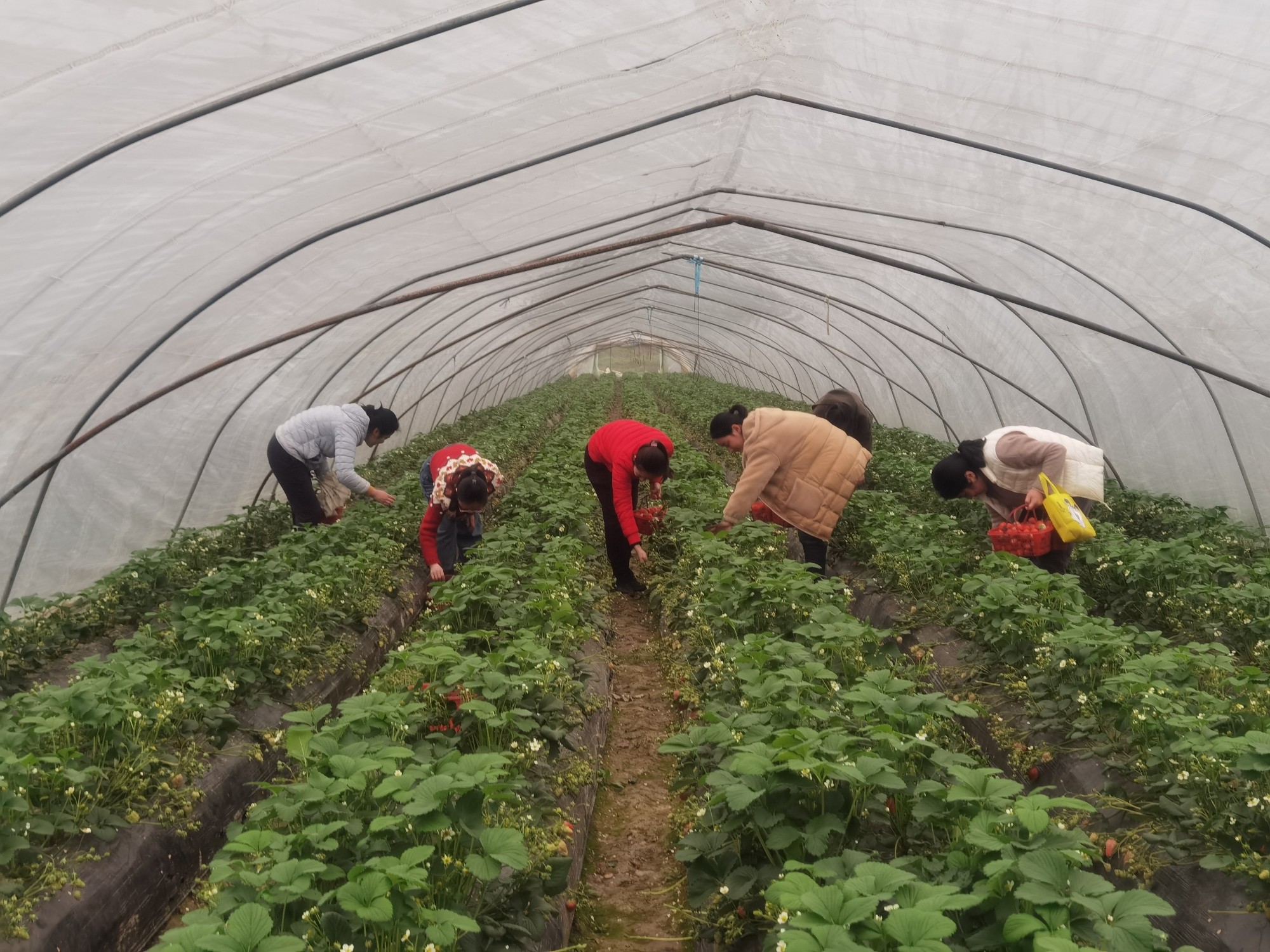 圖片關鍵詞 圖片關鍵詞