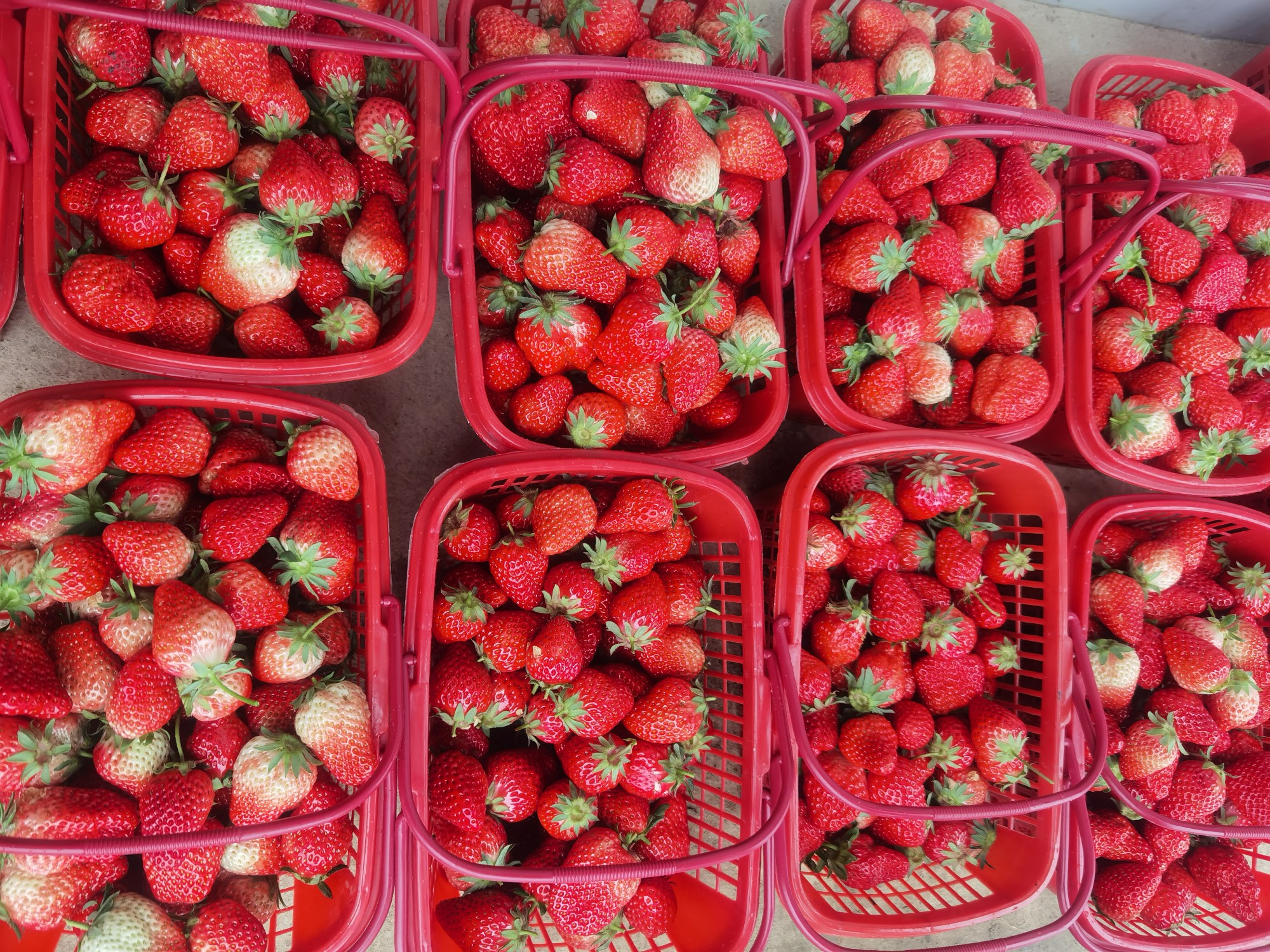 圖片關鍵詞 圖片關鍵詞