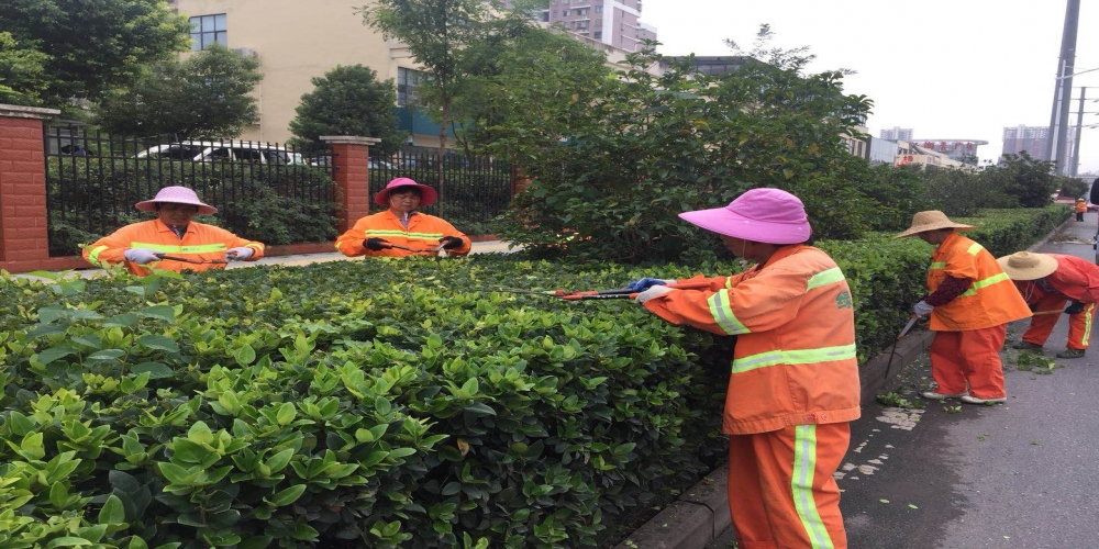 新站區(qū)道路清掃保潔、綠化管養(yǎng)項目